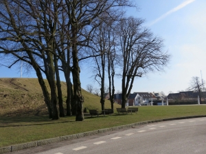 41-IMG 2879