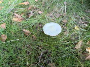 07-IMG_0307