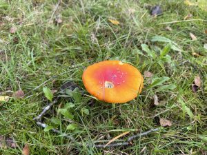 08-IMG_0308