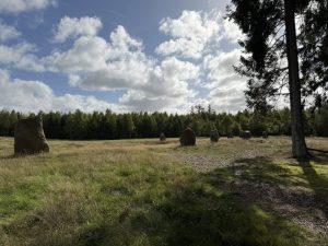 10-IMG_0311