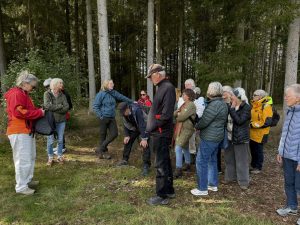 11-IMG_0312